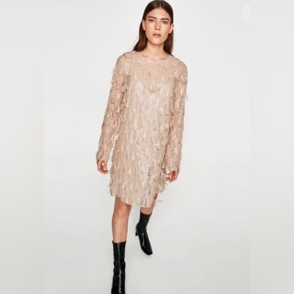 ZARA BLUSH SEQUIN FRINGE DRESS - Picture 3 of 8